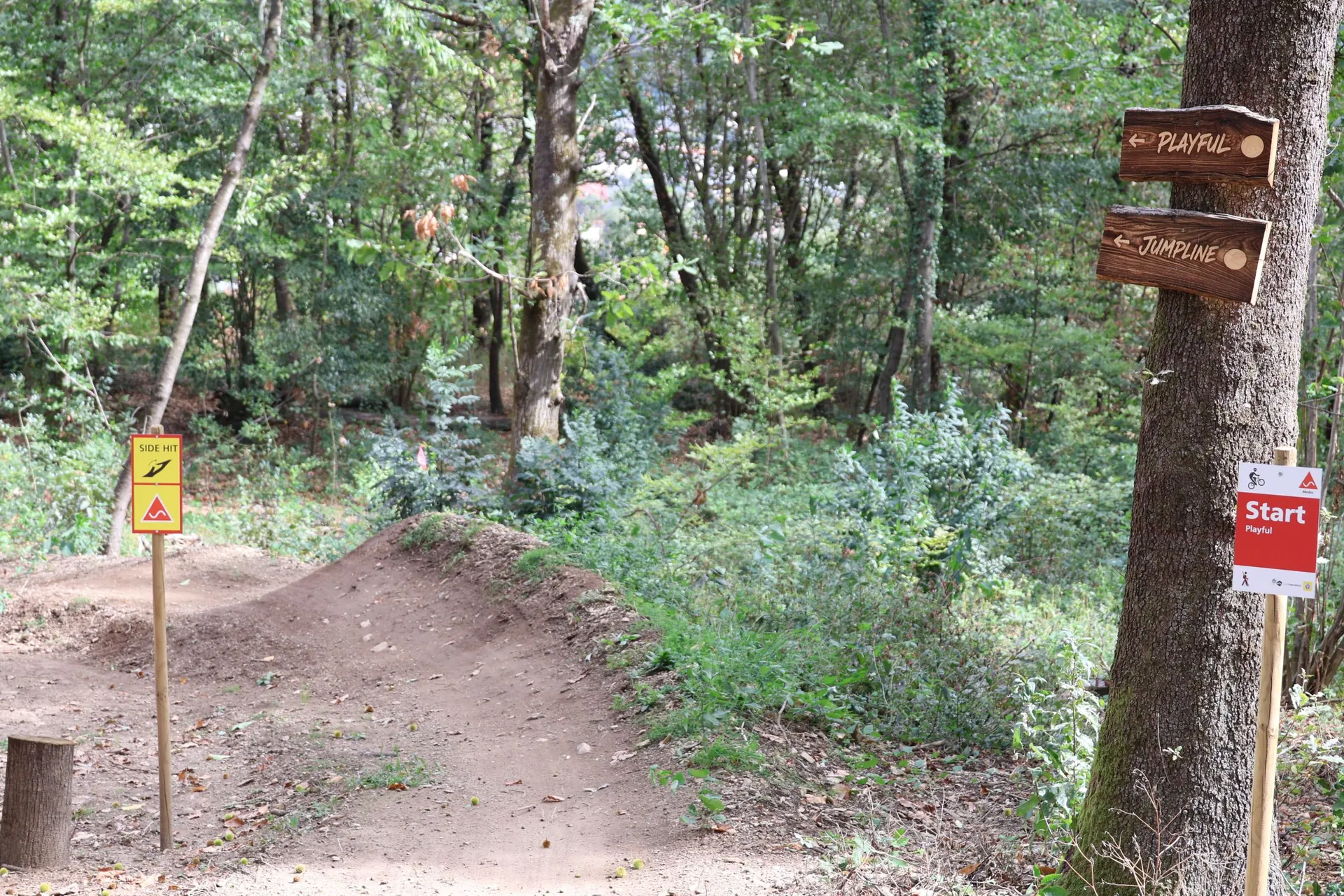 Le strutture in legno del Bikeyard nel bosco di Tesserete
